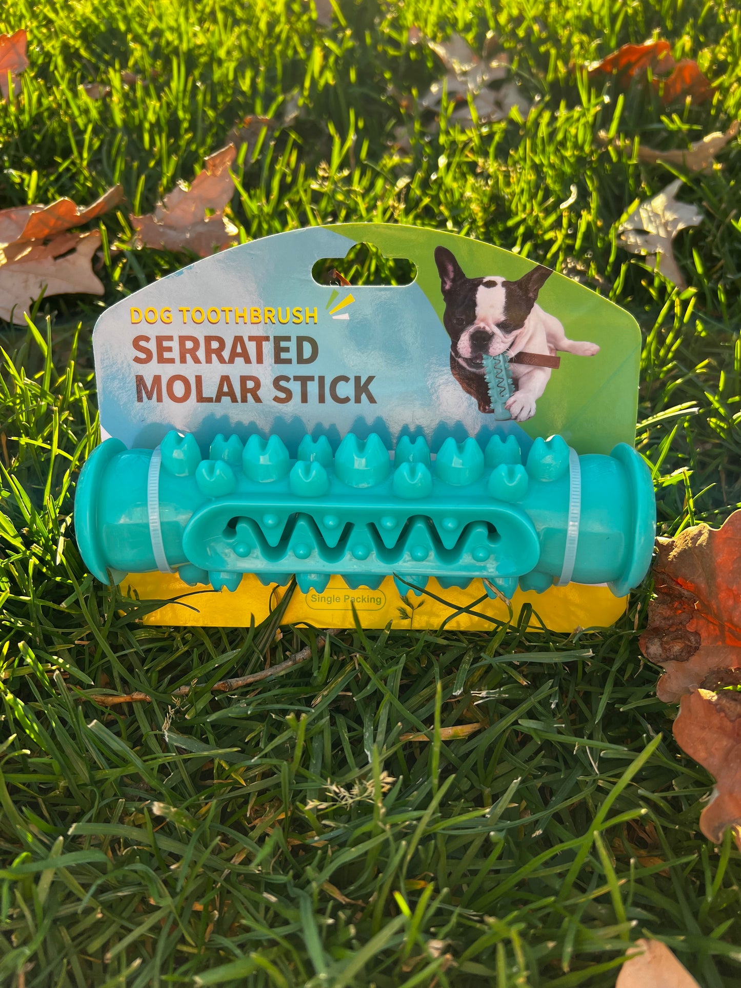 Chew toy for furry friends 🐾
