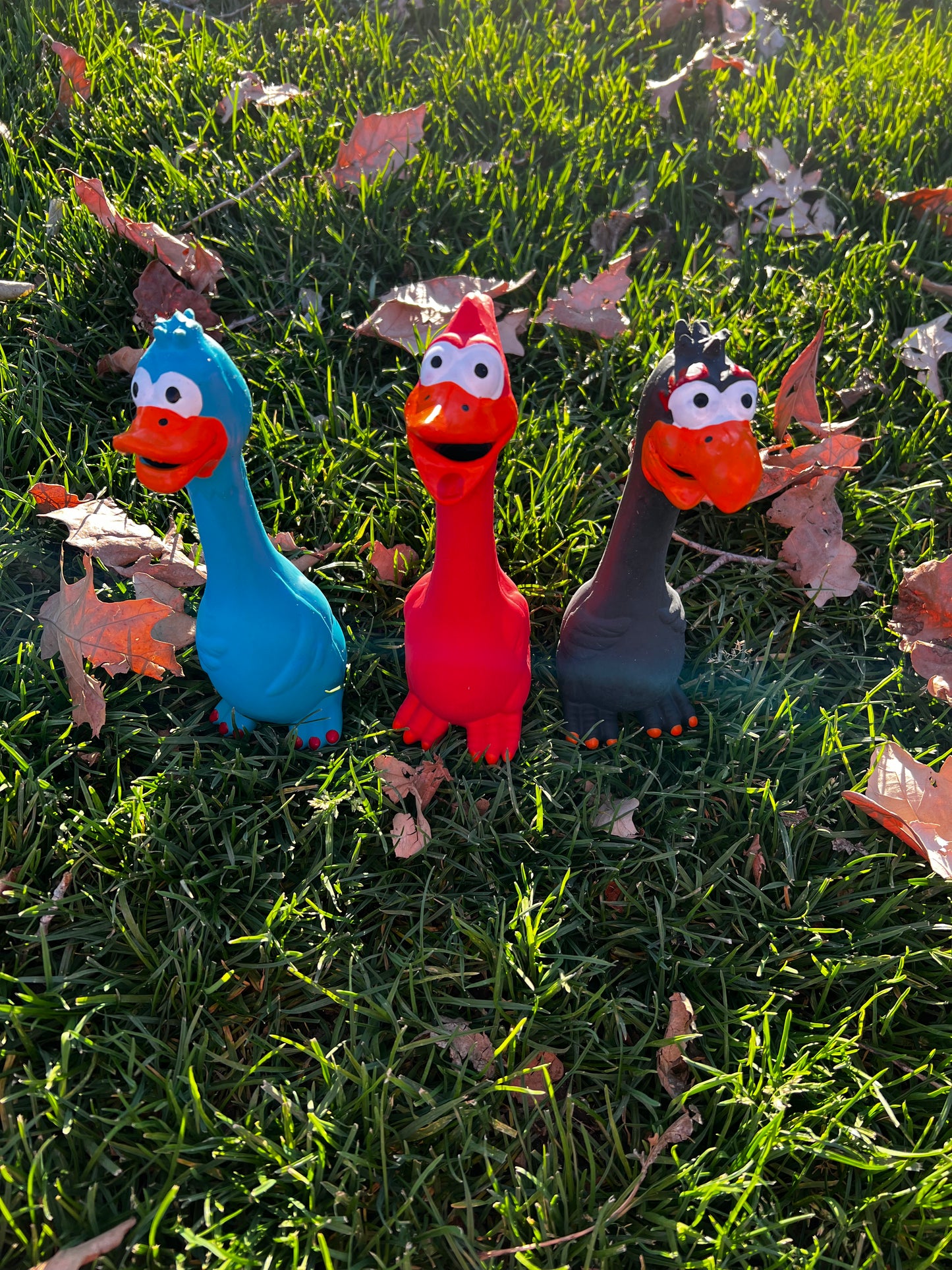 8in Squeaky chew toy for furry friends 🐾