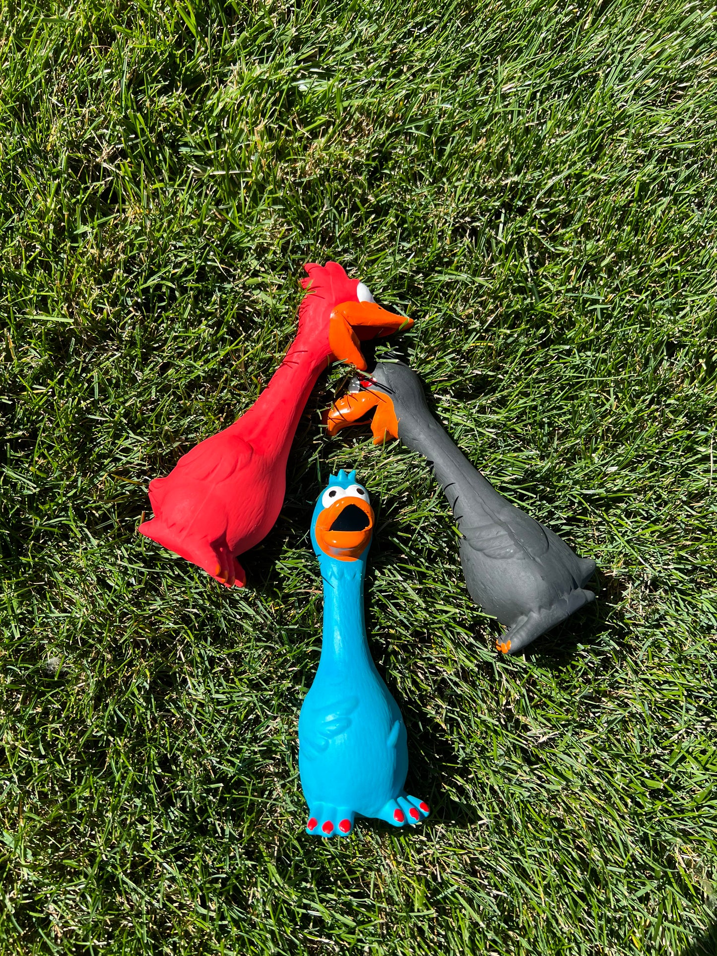 8in Squeaky chew toy for furry friends 🐾