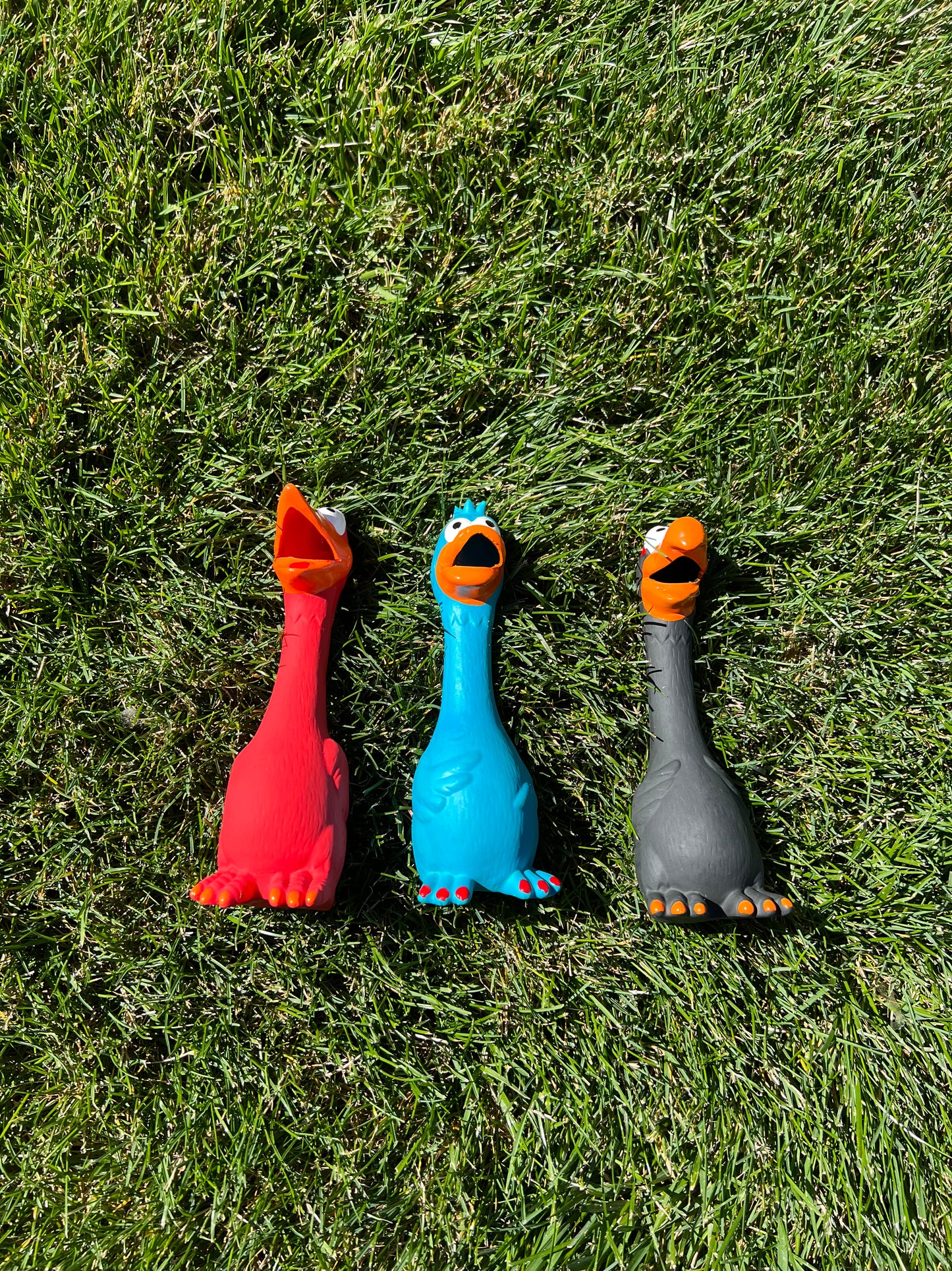 8in Squeaky chew toy for furry friends 🐾