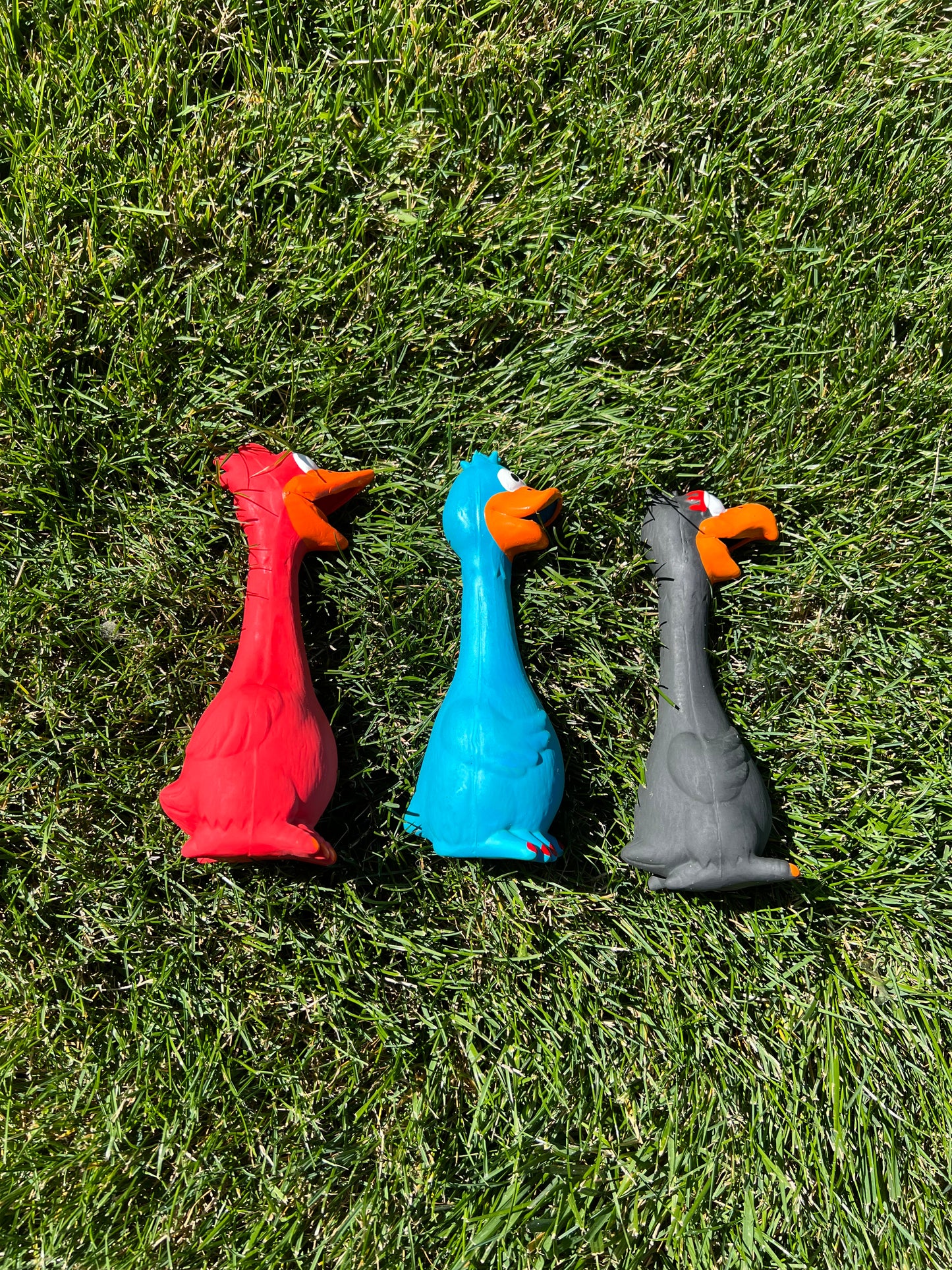 8in Squeaky chew toy for furry friends 🐾