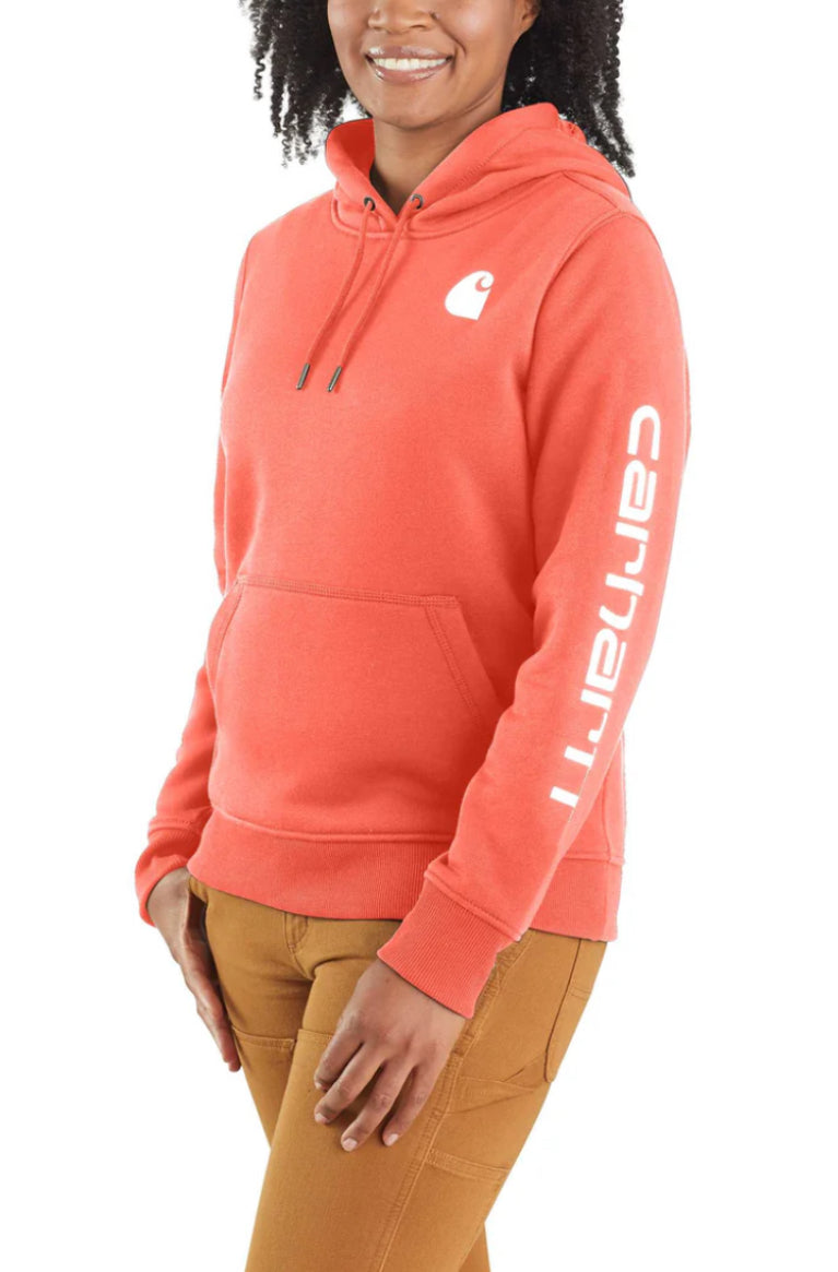 Carhartt RELAXED FIT MIDWEIGHT LOGO SLEEVE GRAPHIC SWEATSHIRT (Size XL)