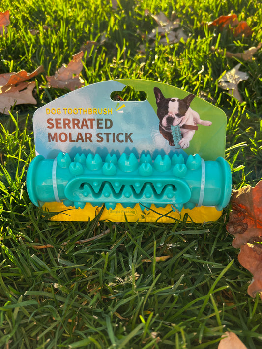 Chew toy for furry friends 🐾