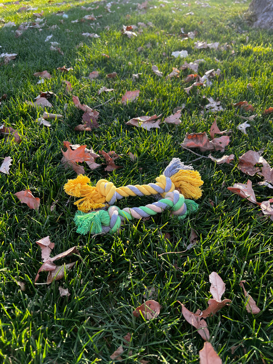 Chew ropes for furry friends 🐾 (pair)