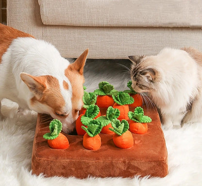 Carrot Dog Toy