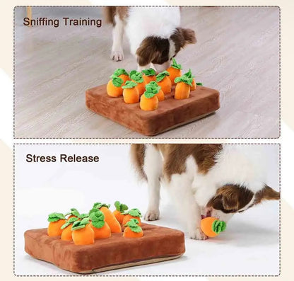 Carrot Dog Toy